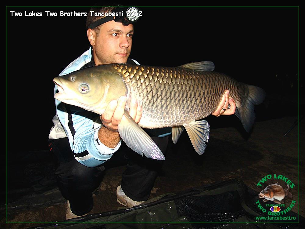 Bogdan - img1457.JPG